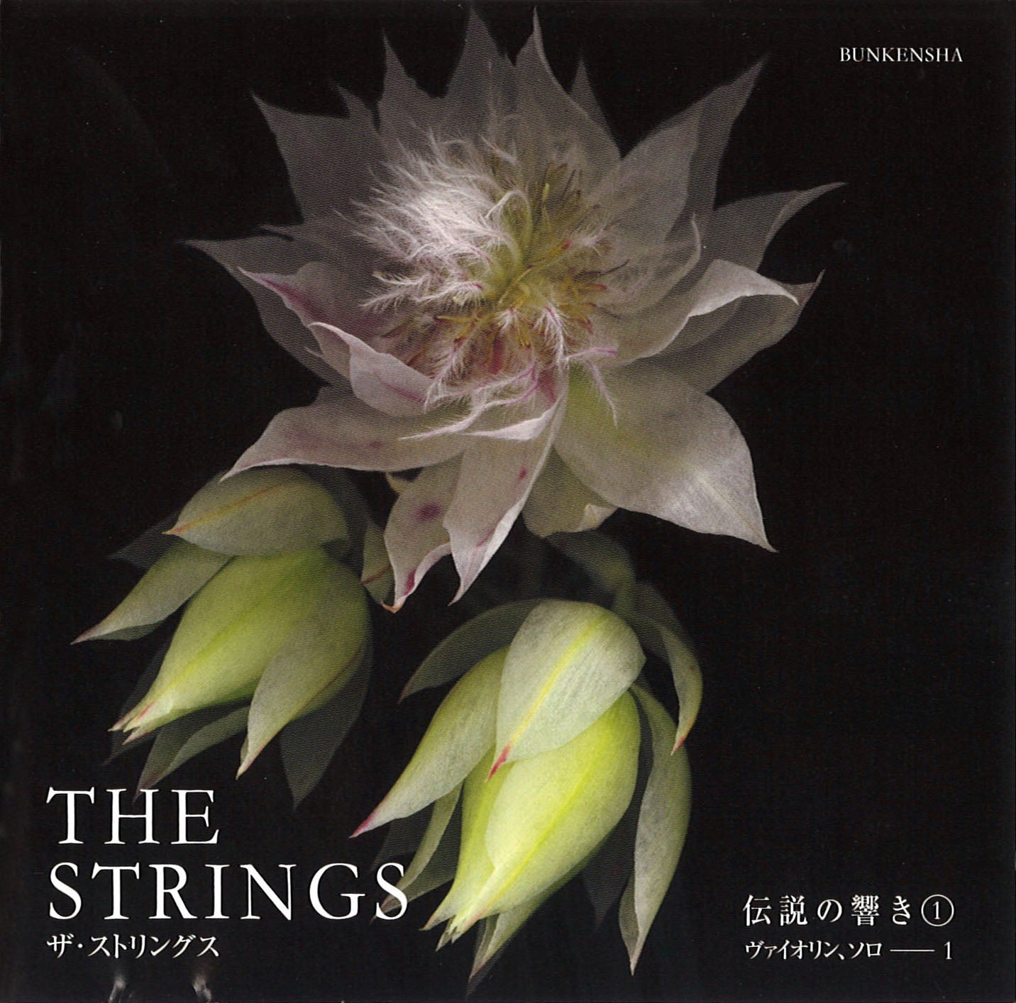 4/3テスト+++<br>THE STRINGS<br>伝説の響き①<br>ヴァイオリン、ソロ1
