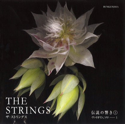 4/3テスト+++<br>THE STRINGS<br>伝説の響き①<br>ヴァイオリン、ソロ1